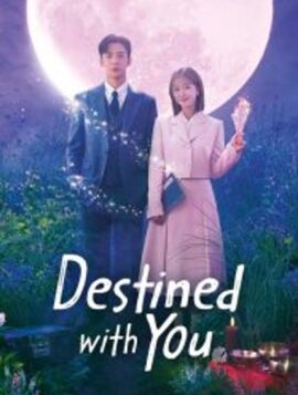 Destined With You