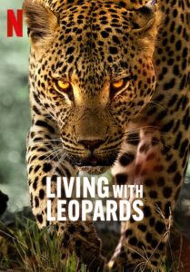 Living with Leopards (2024) อยู่กับเสือดาว