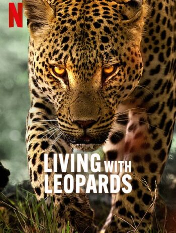 Living with Leopards (2024) อยู่กับเสือดาว