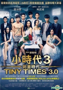 Tiny Times 3 (2014)