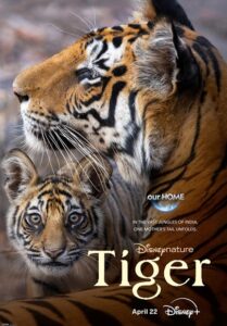 Tiger (2024)