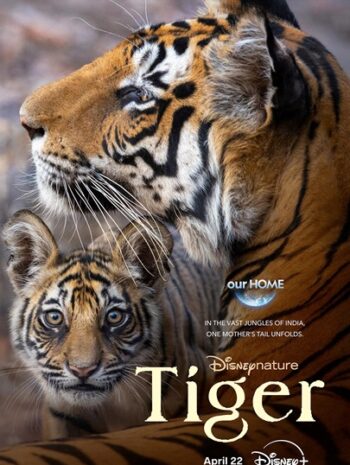 Tiger (2024)